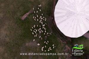 CABANHA À VENDA NO RS.00_00_39_29.Quadro008_22fa053a221ad90459e8cebb5cf1584ce80d9e8e.jpg